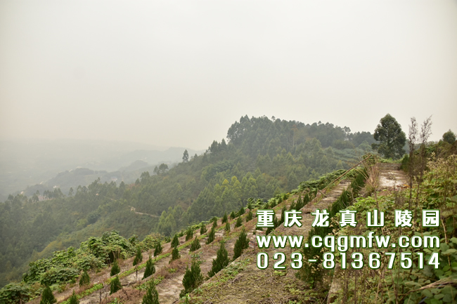 江津龙真山陵园-其它区县-重庆公墓陵园价格服务网