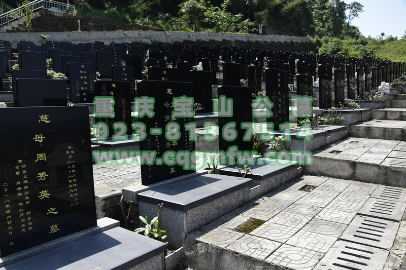 宝山公墓墓型图