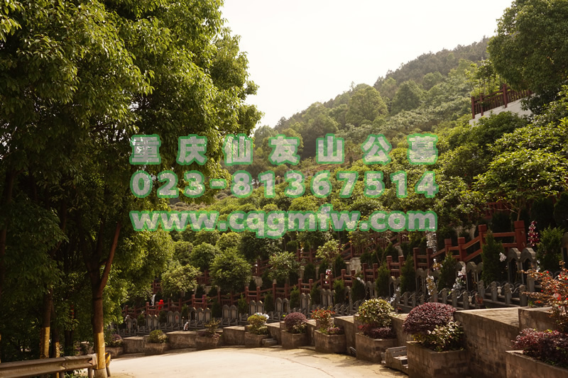 仙友山公墓风景图景观图