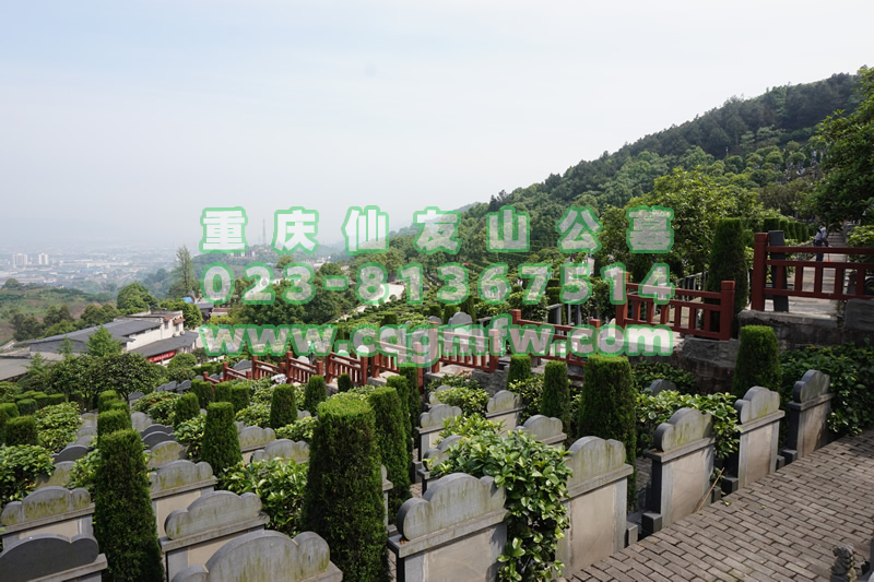 仙友山公墓风景图景观图