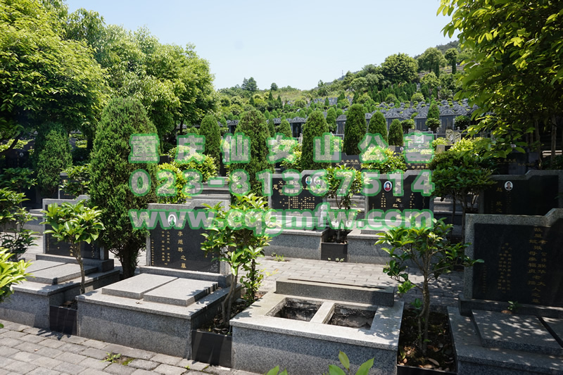 仙女山公墓墓型图
